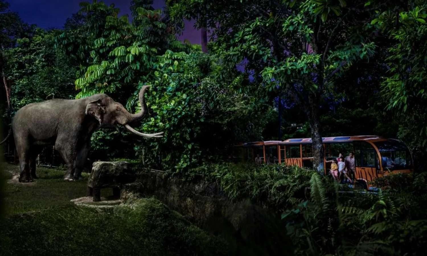 night safari singapore