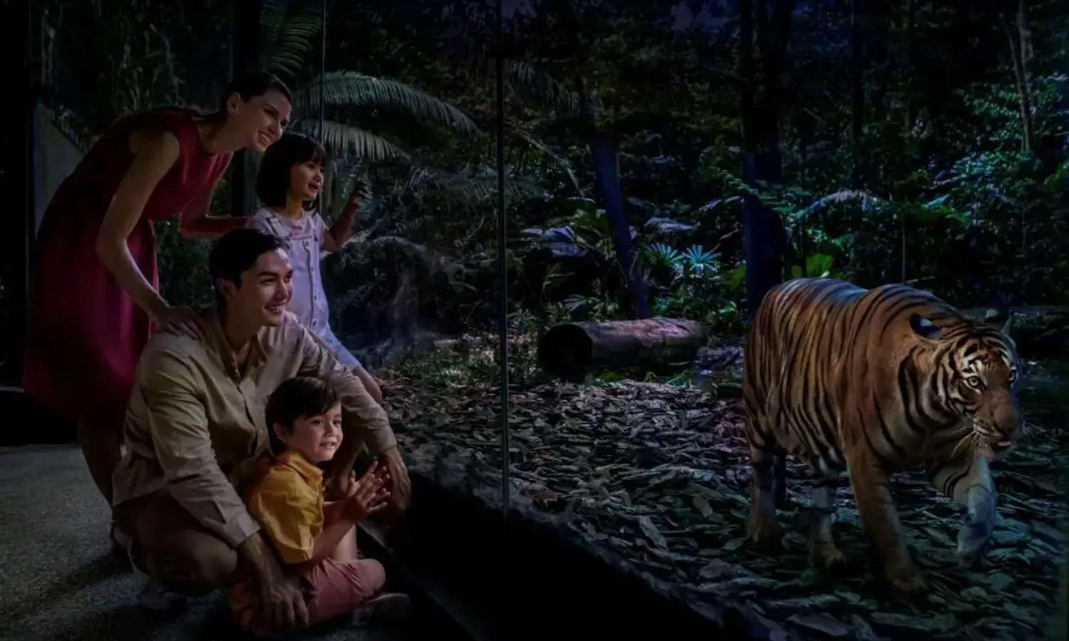 vườn thú đêm night safari