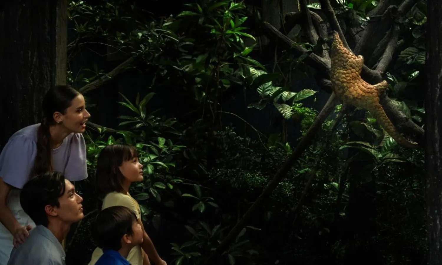 night safari singapore