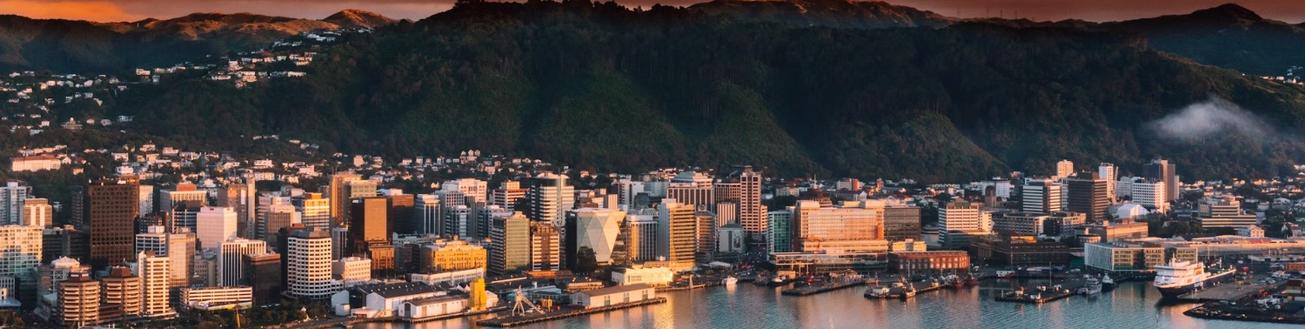 Wellington CBD and waterfront with mountains in the background