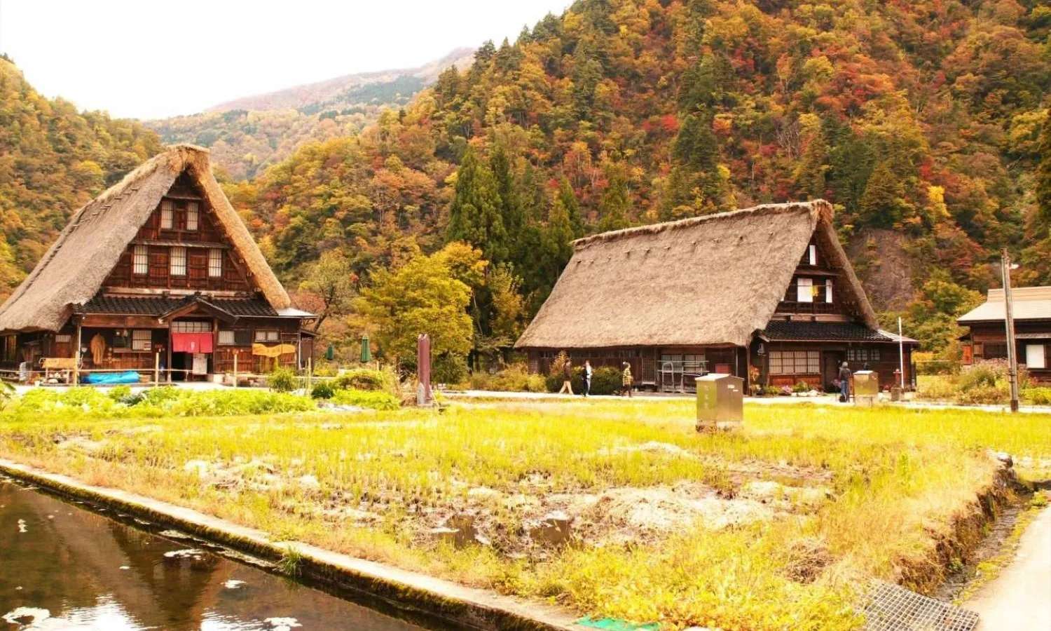 điểm tham quan Nhật Bản