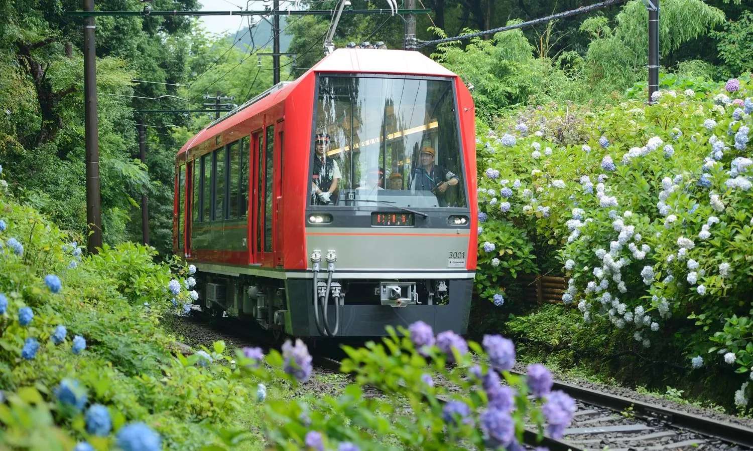 di chuyển tại Nhật Bản