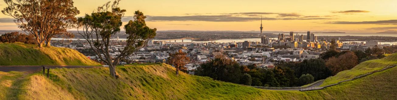 Auckland CBD as seen from the top of Mount Eden