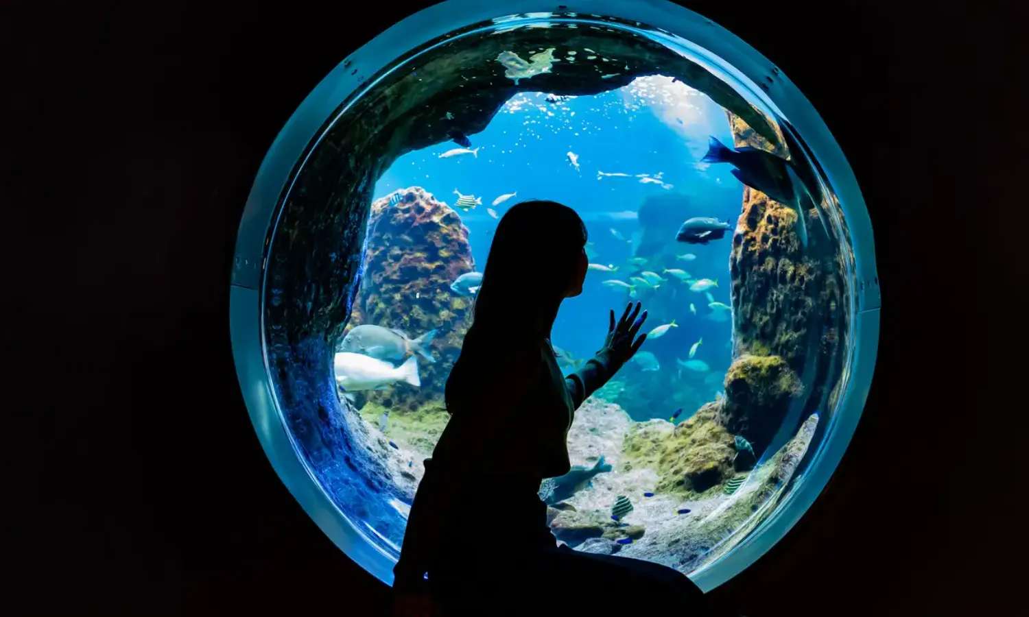 thủy cung ở Nhật Bản