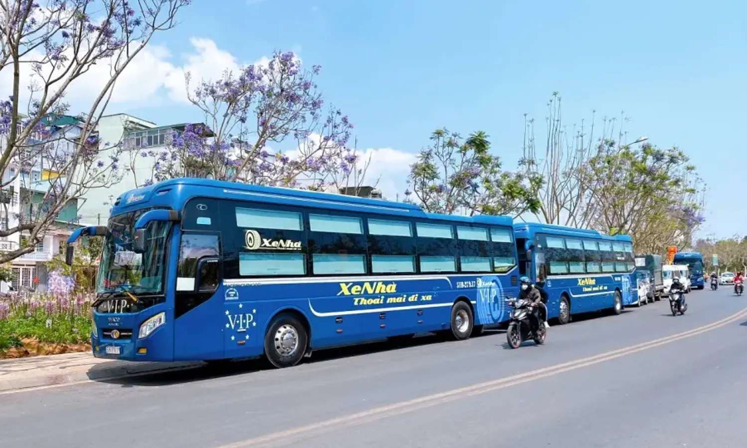 xe Sài Gòn Tây Sơn Bình Định