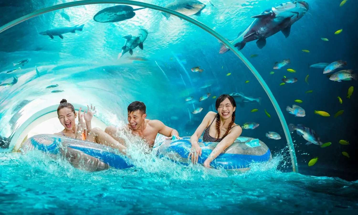 công viên nước ở Singapore