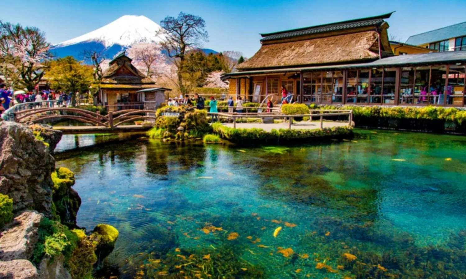 khung cảnh Tokyo
