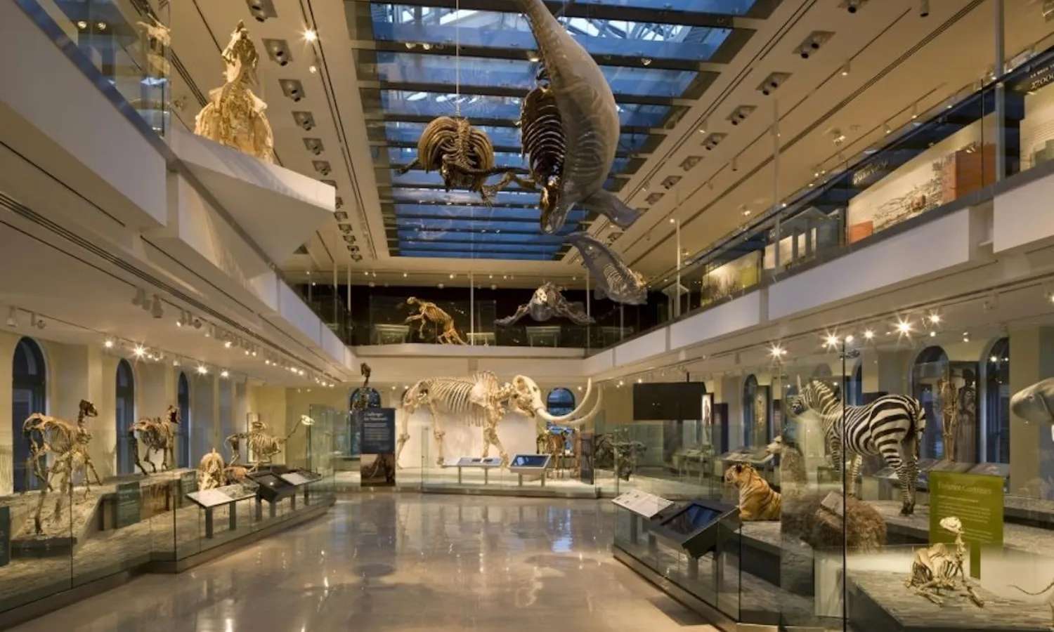 bảo tàng ở Mỹ