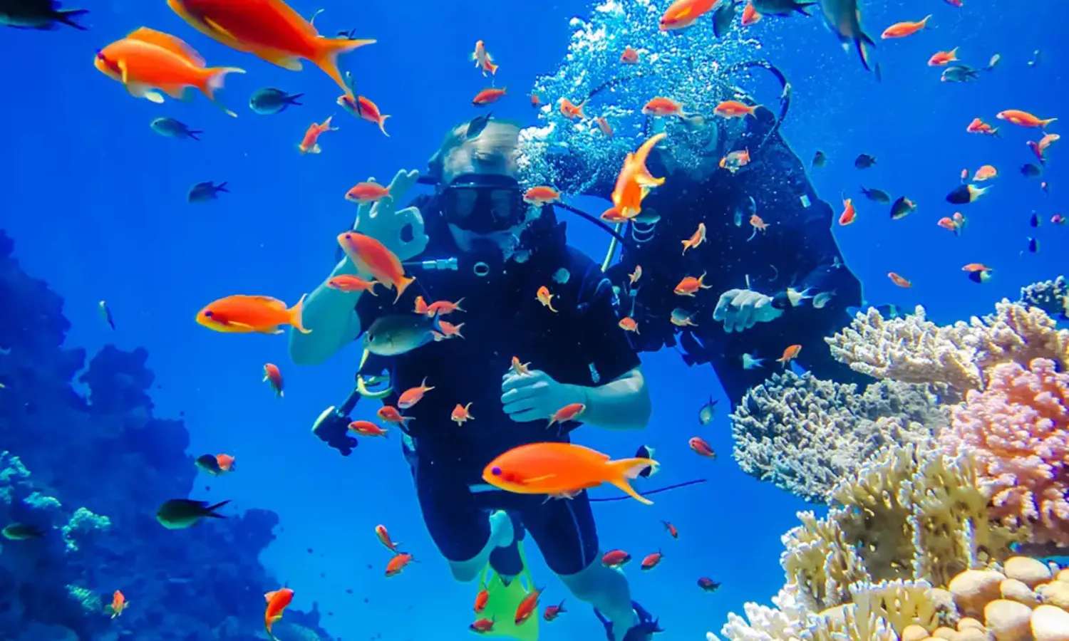 tour Vịnh San Hô - Làng Chài - Bãi Tranh Nha Trang 1 ngày