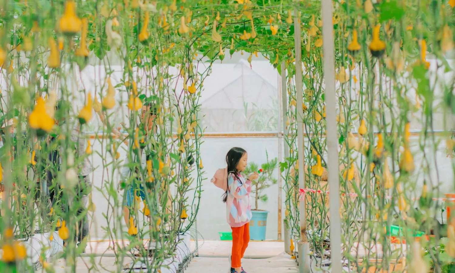 tour Đà Lạt 1 ngày