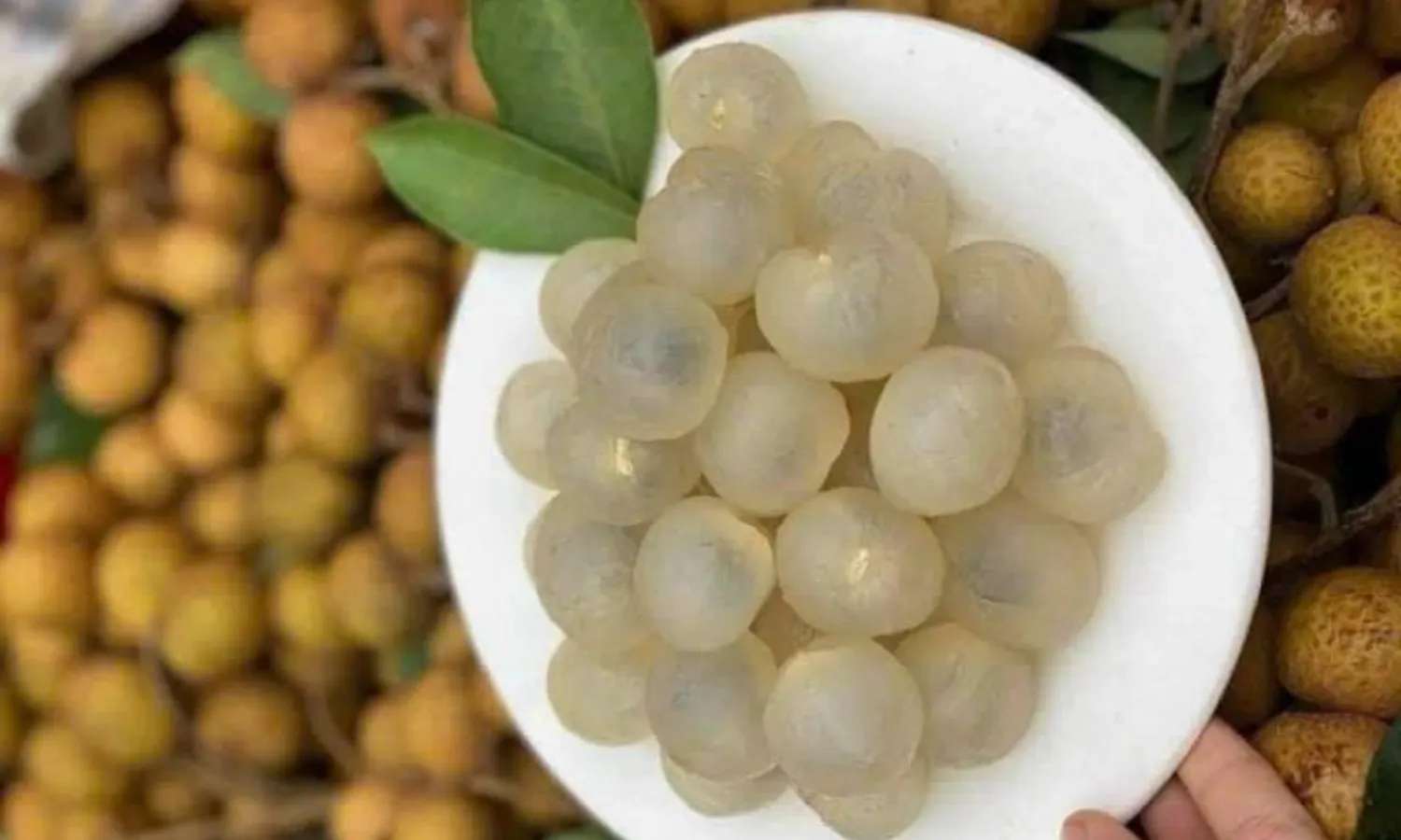Nhãn lồng Hưng Yên