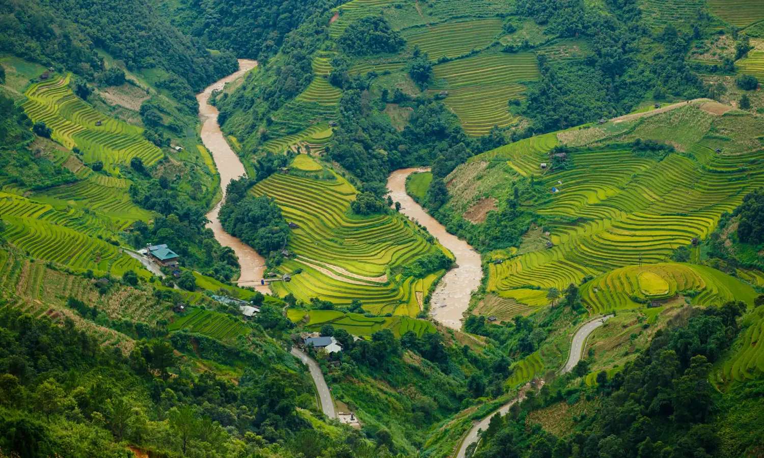 Mù Cang Chải