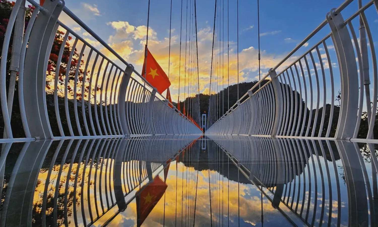 Cầu kính Bạch Long