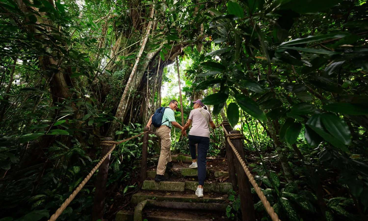 Rainforest Wild ASIA