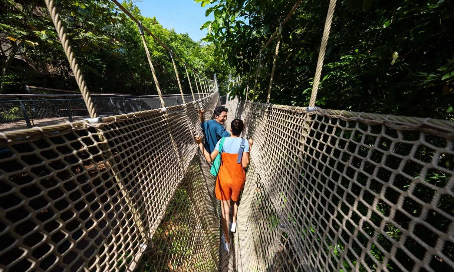 Trò chơi mạo hiểm tại Rainforest Wild ASIA.