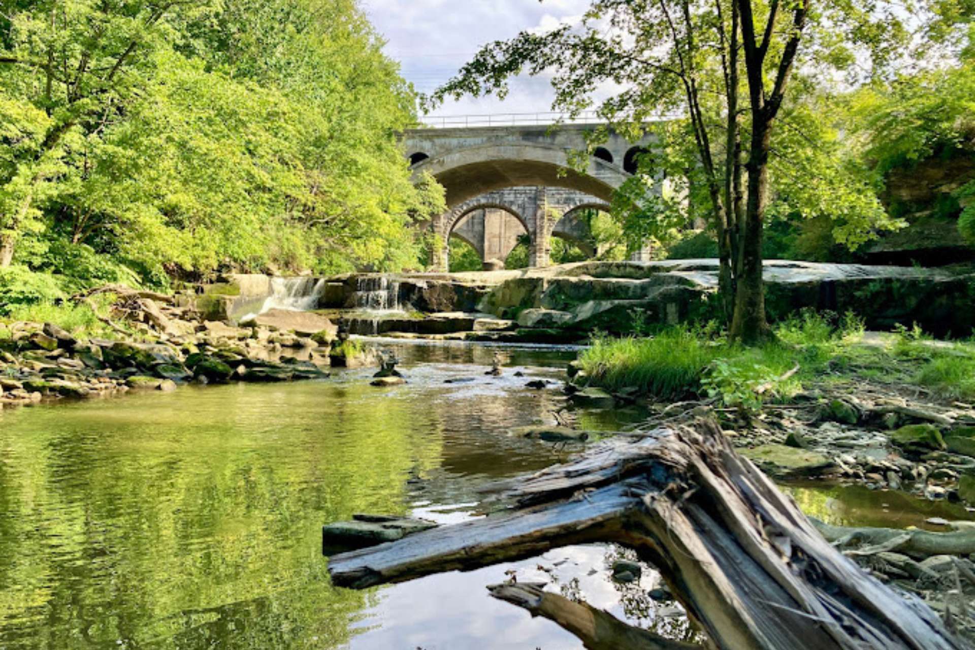 Khung cảnh xanh mát tại Công viên Rocky River Reservation
