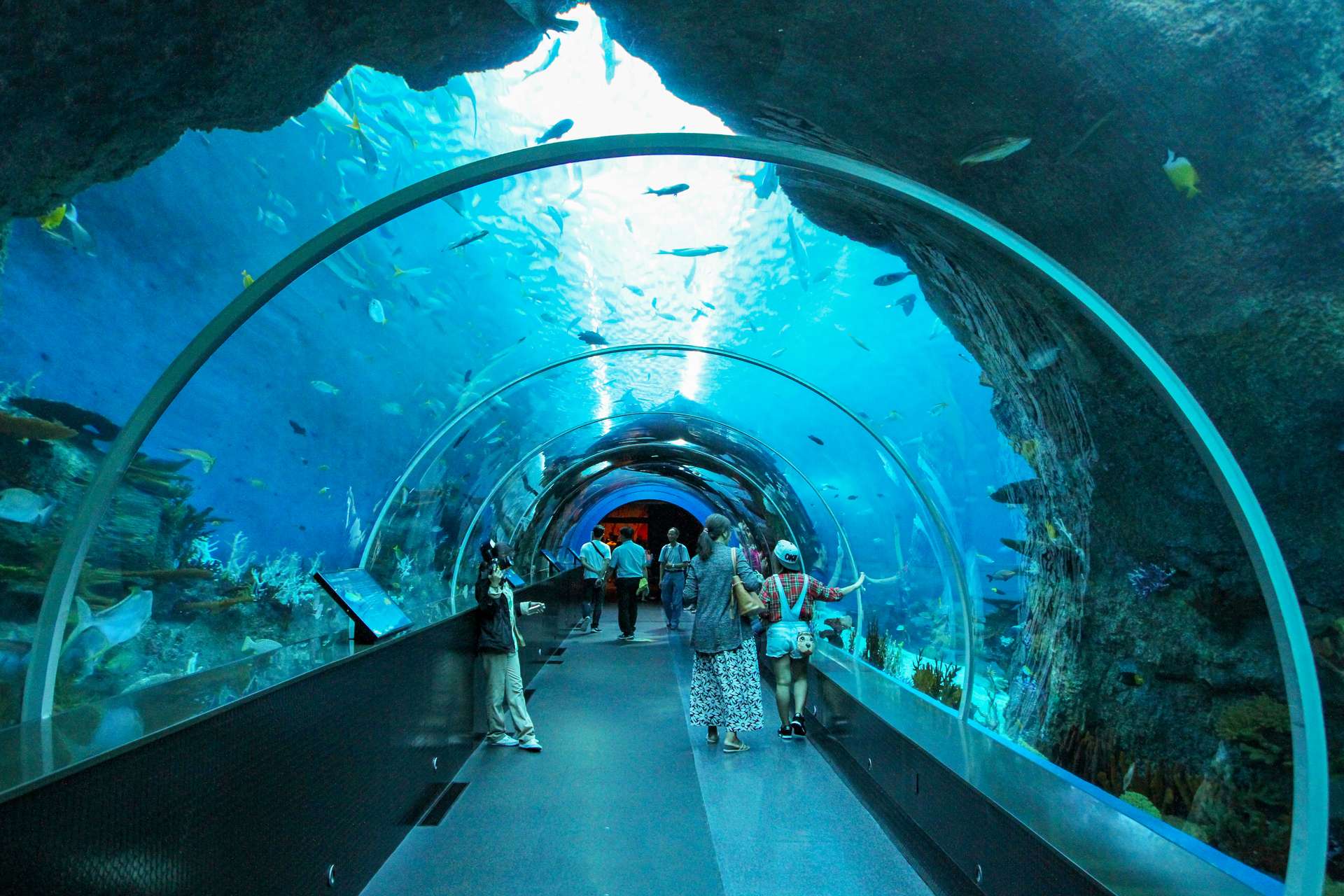 Dubai Aquarium & Underwater Zoo