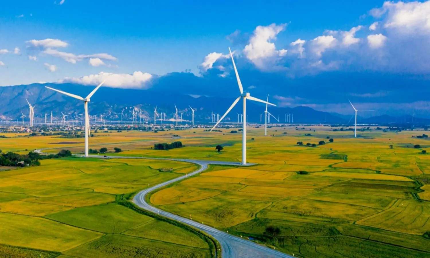 điện gió đầm nại ninh thuận