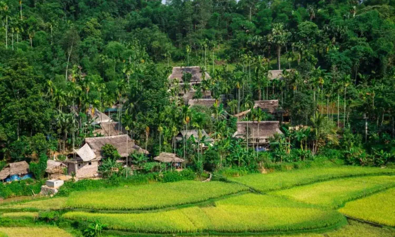 khu bảo tồn thiên nhiên pù luông