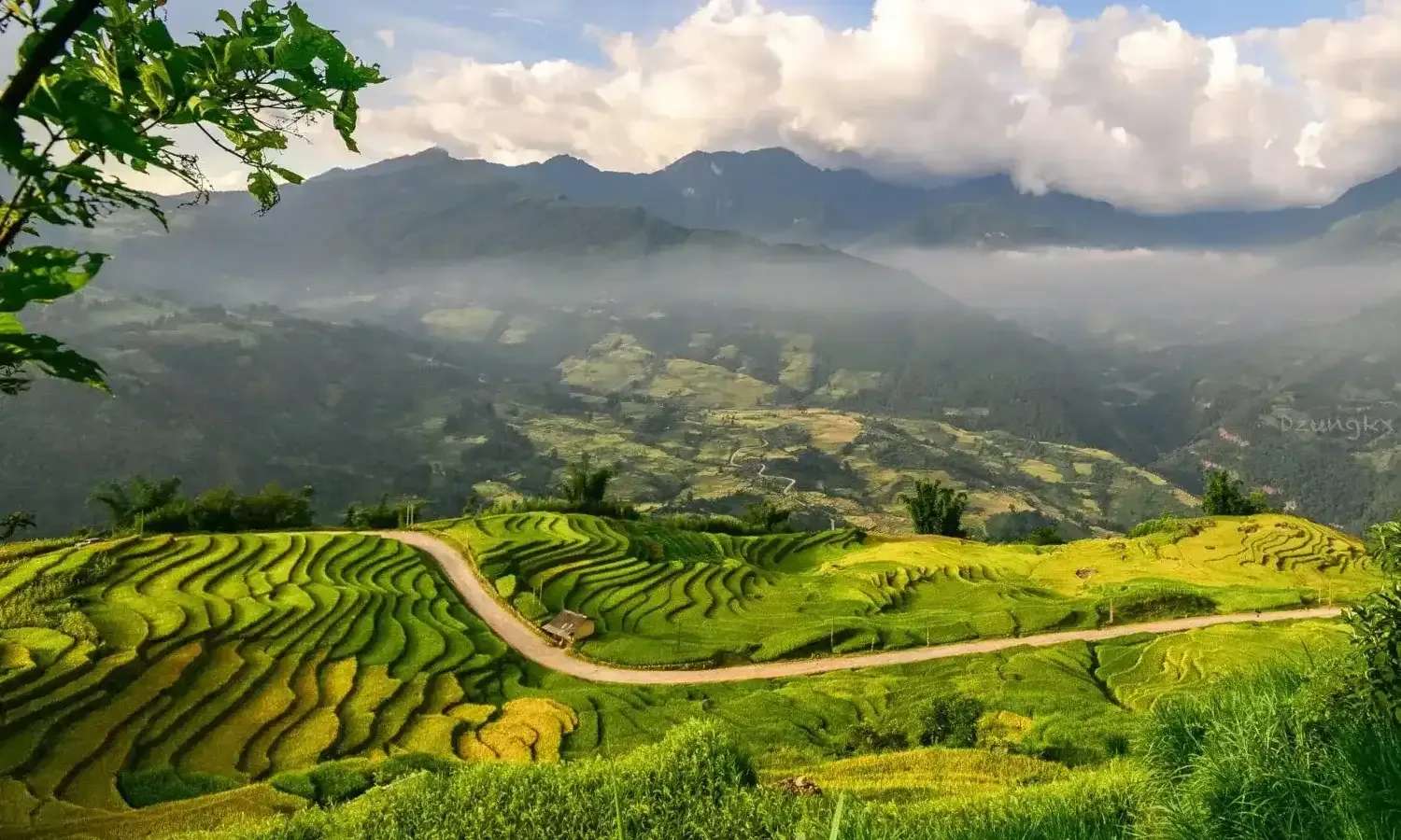 pù luông vào mùa lúa