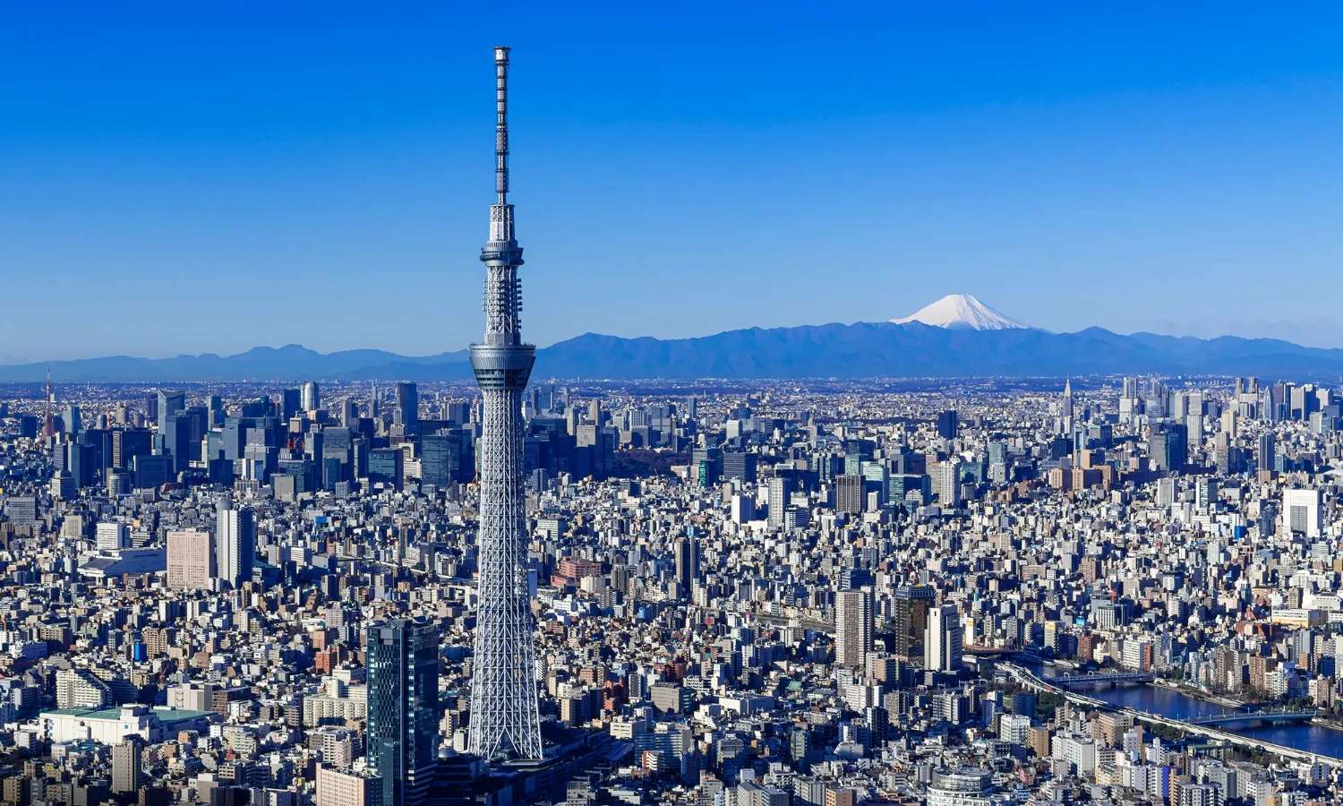 toàn cảnh tokyo