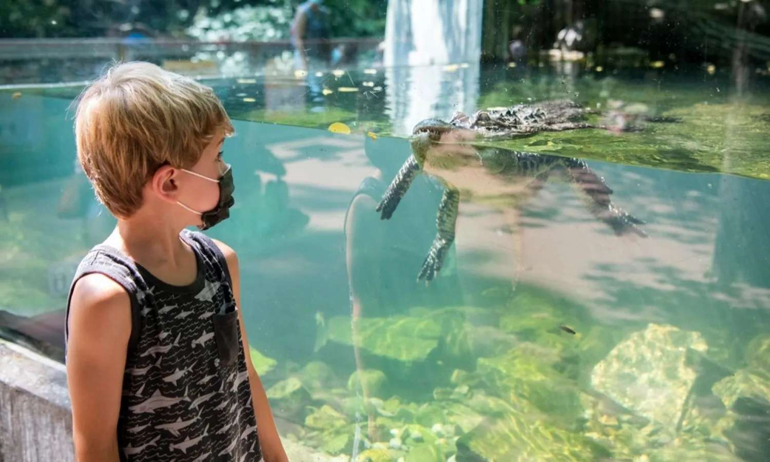 khách tham quan sở thú bronx zoo