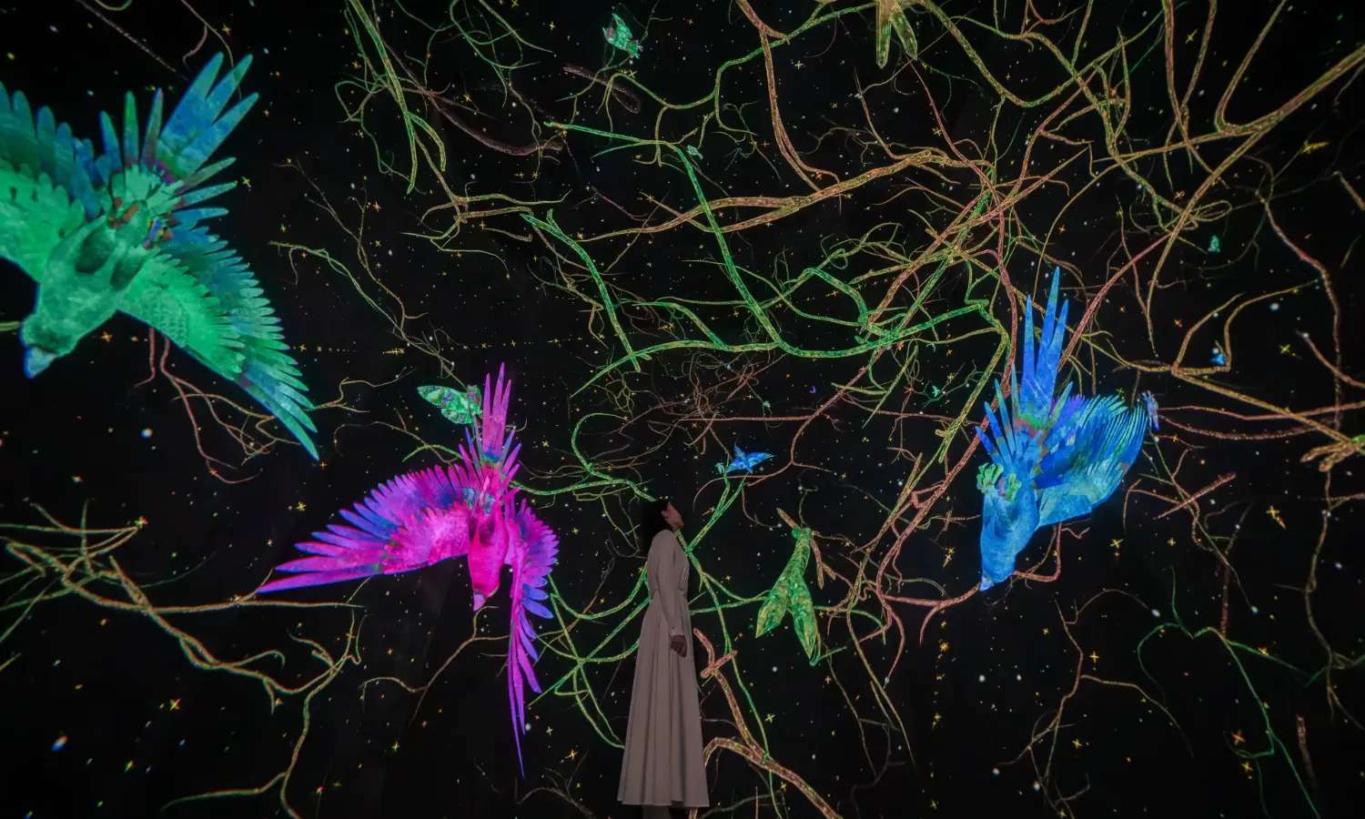 teamlab planets
