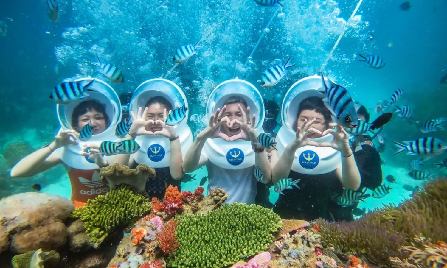 đi bộ dưới đáy biển tour 4 đảo phú quốc
