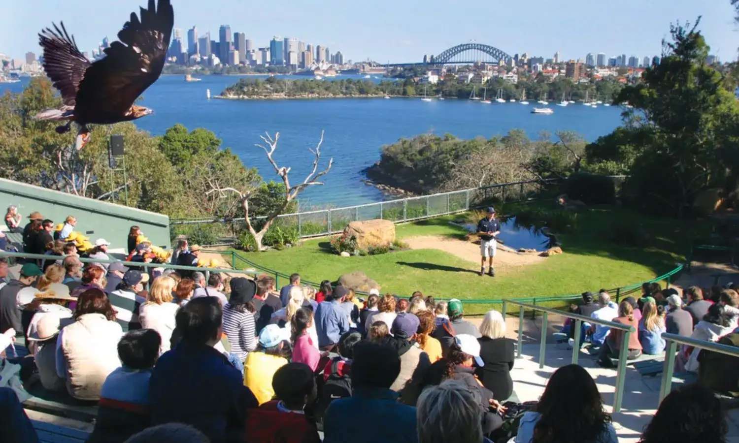 Taronga Zoo Sydney