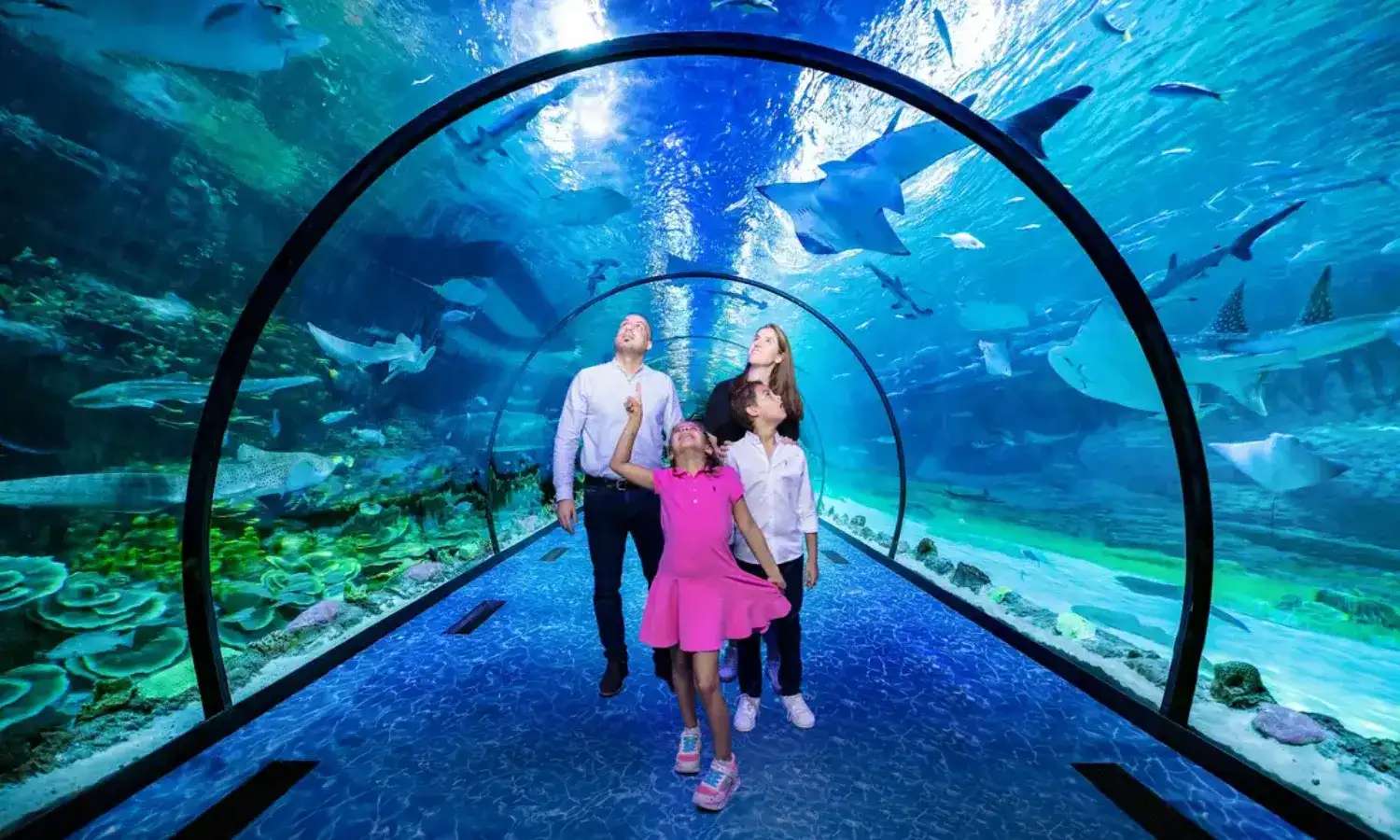 hầm đi bộ SEA LIFE Sydney Aquarium