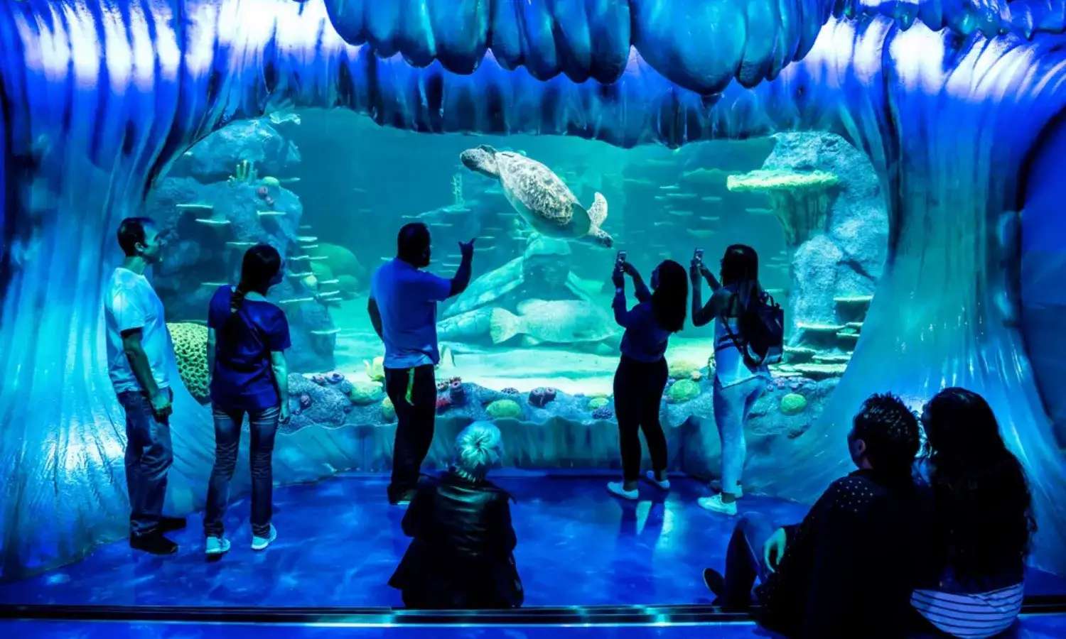 khách tham quan Thủy cung SEA LIFE Sydney Aquarium