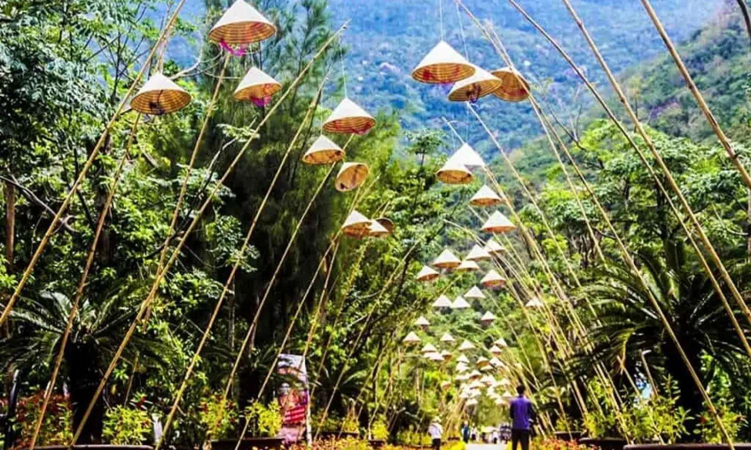đảo Hoa Lan