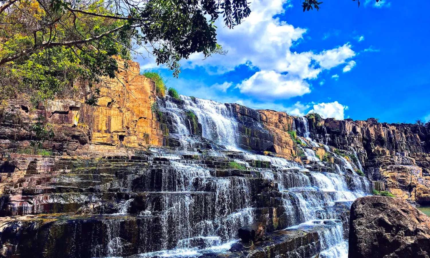 tour đà lạt trong ngày