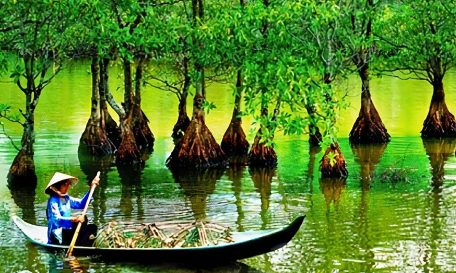 Rừng ngập mặn Cần Giờ