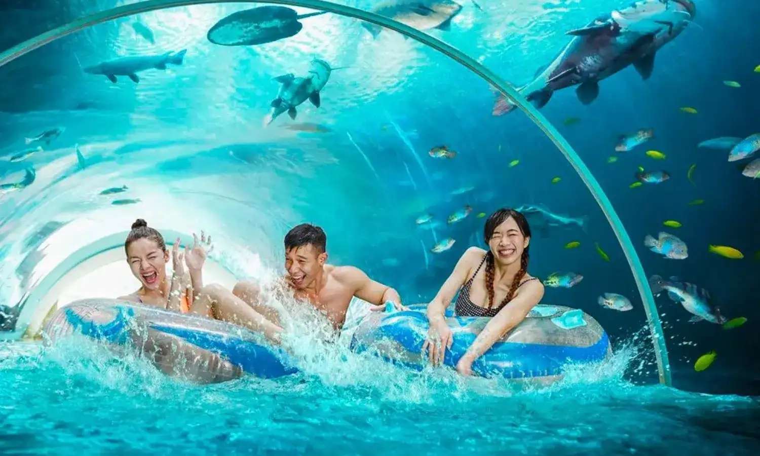 Rainbow Reef