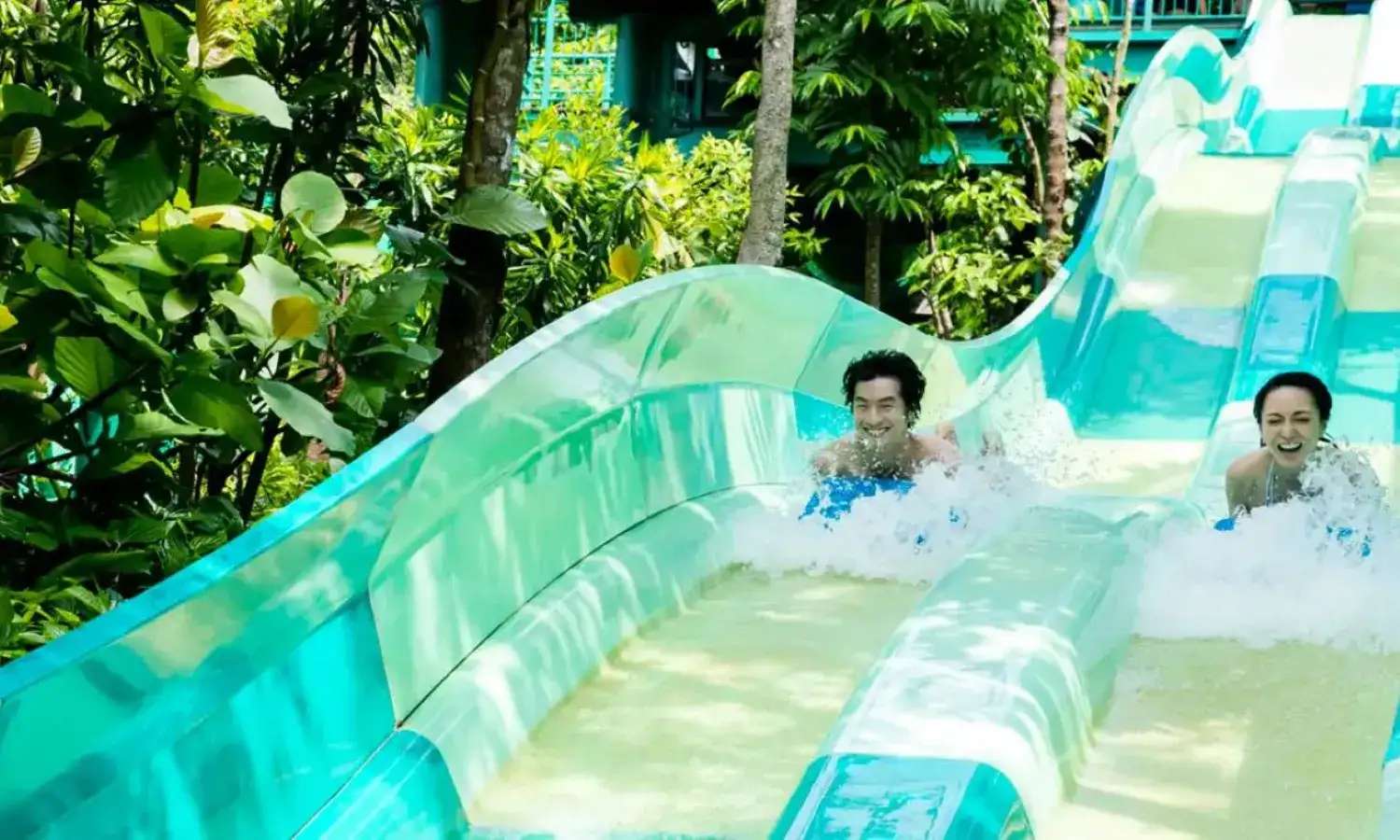 Dueling Racer tại Adventure Cove Waterpark