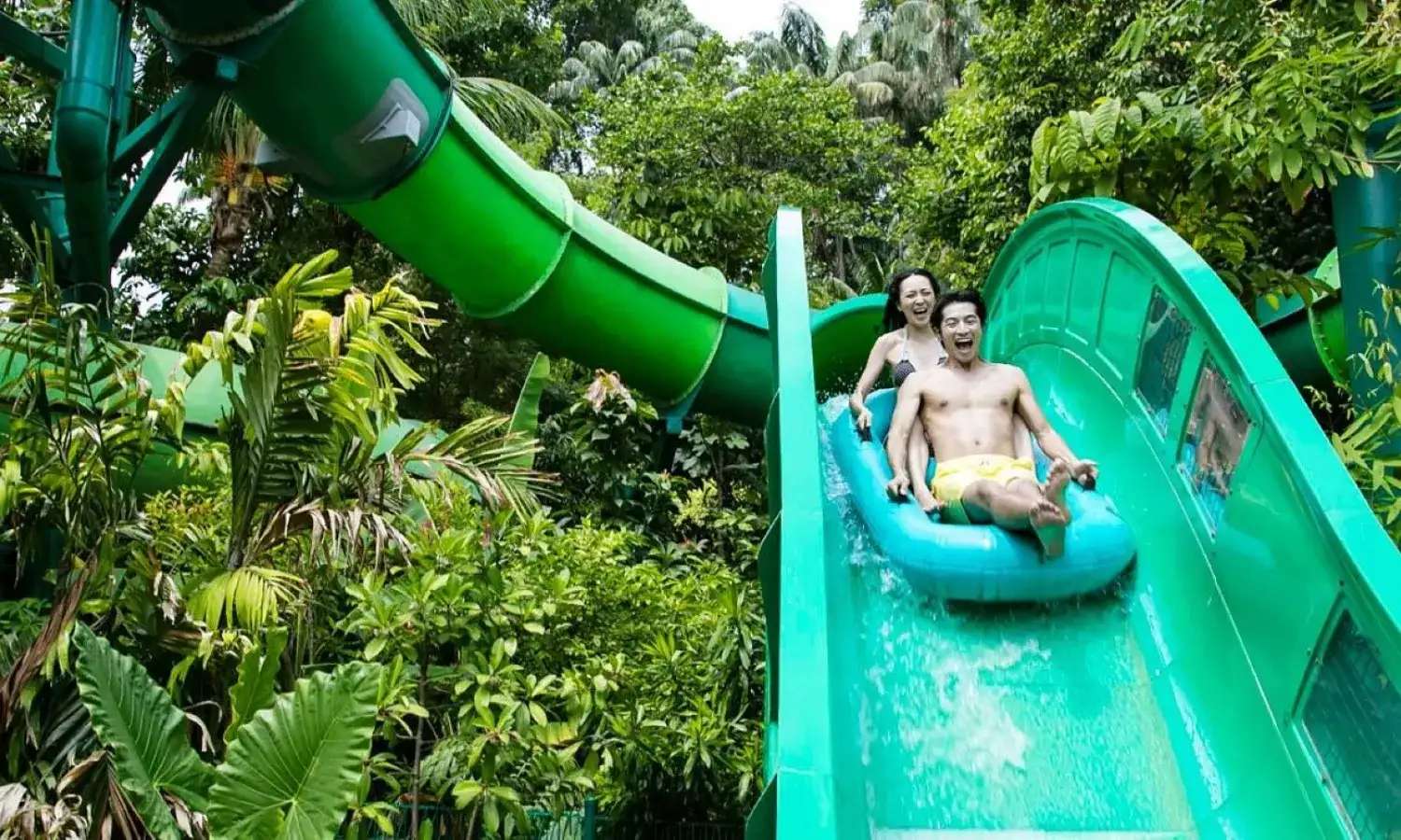 Riptide Rocket tại Adventure Cove Waterpark