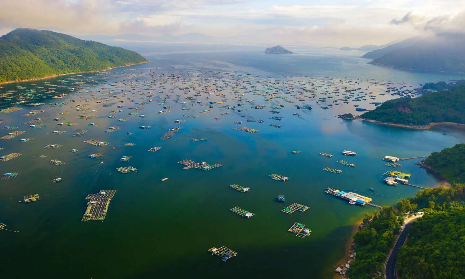 vịnh vũng rô tour đảo hòn nưa