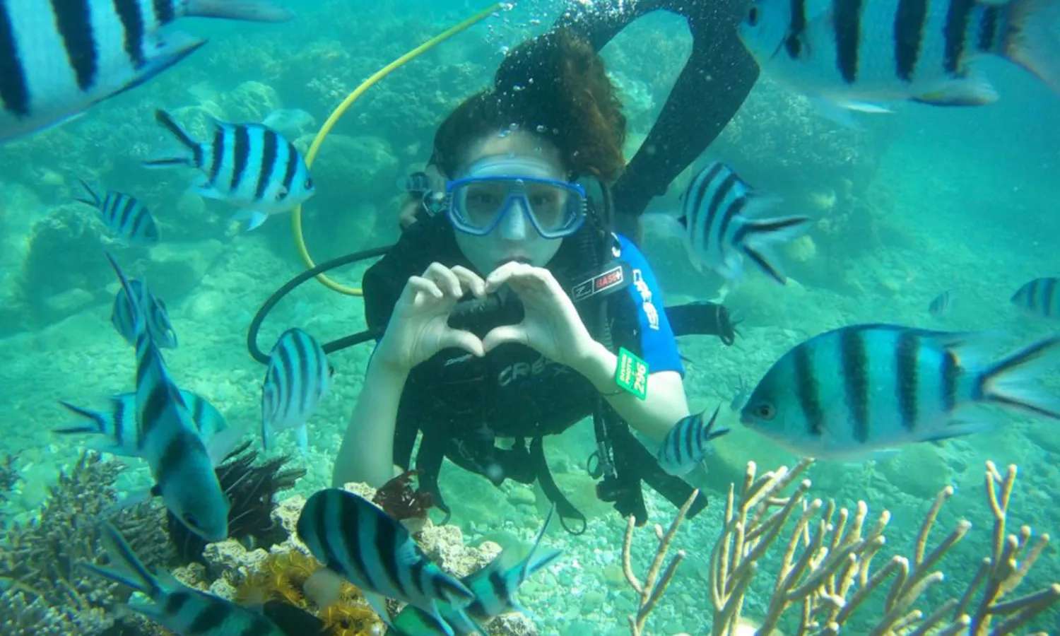 lặn biển trong tại nha trang