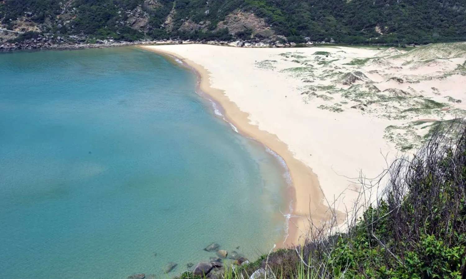 Bãi Môn