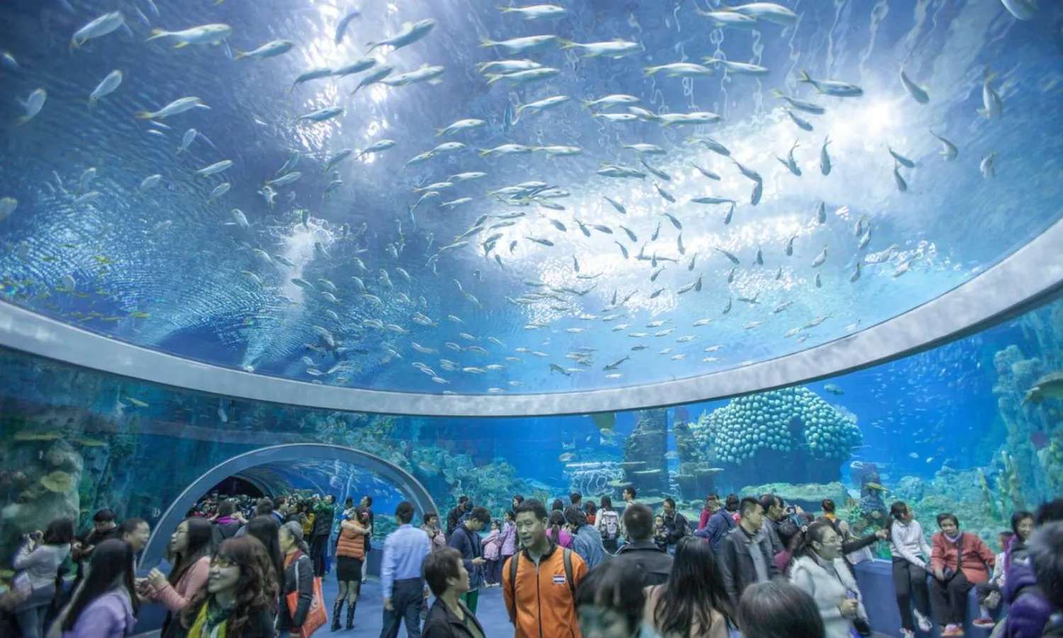 Bảo tàng Hải dương học Nha Trang