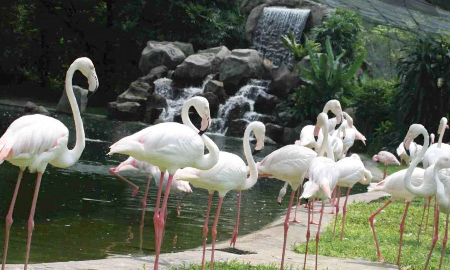 KL Bird Park