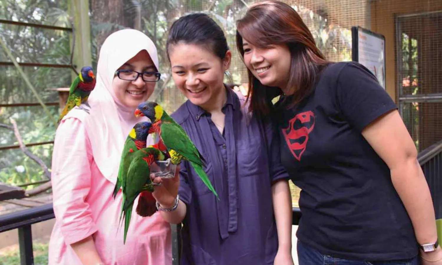 du khách tham quan KL Bird Park