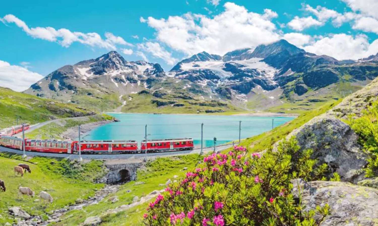 bernina express