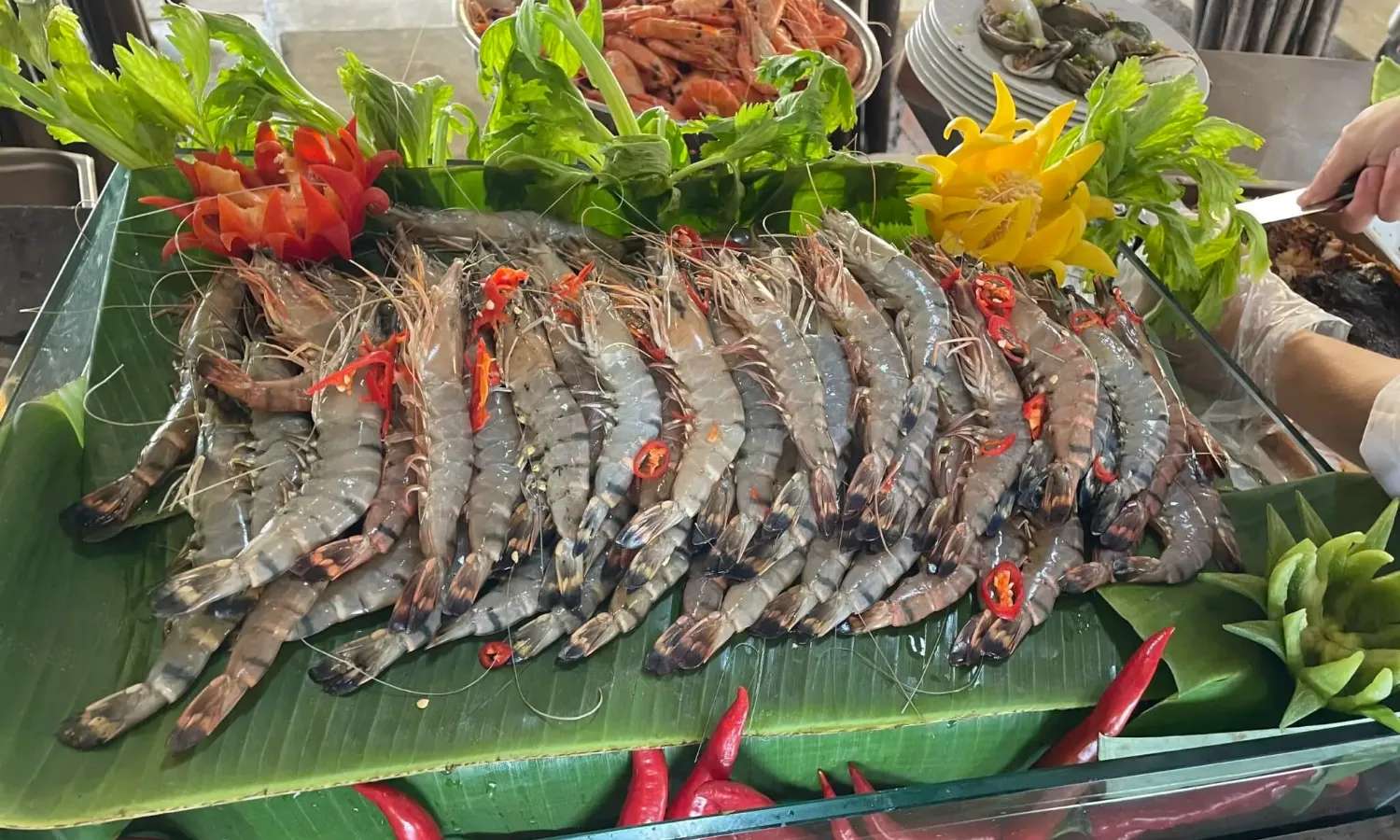 tour Hòn Tằm 1 ngày
