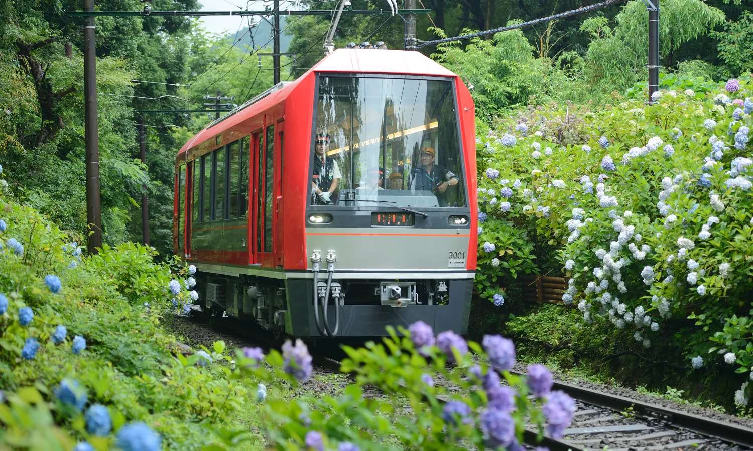 Fuji Hakone Pass