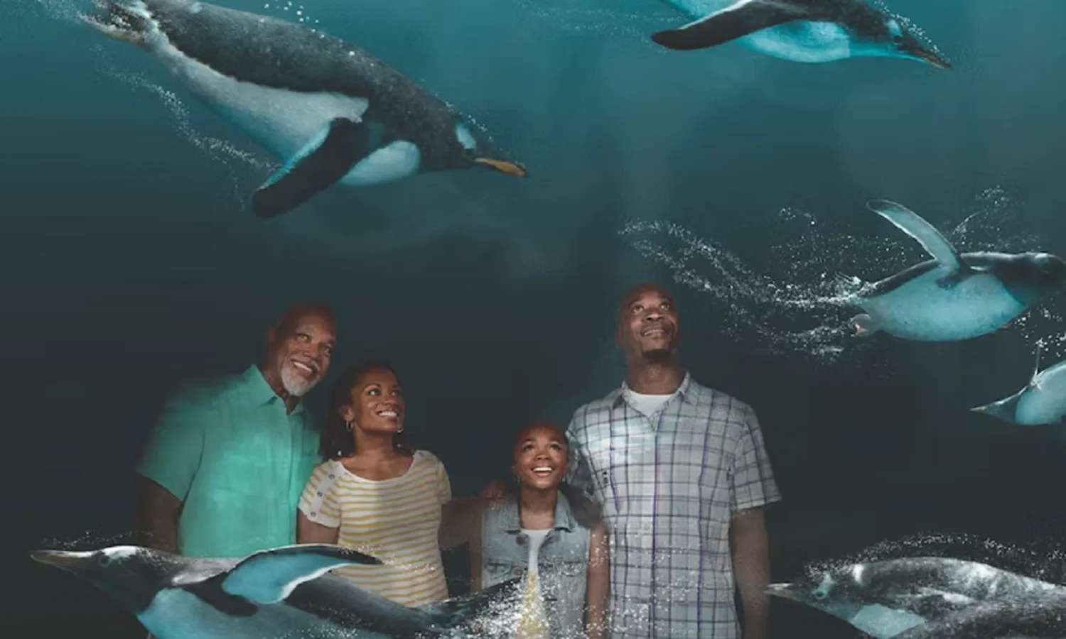thủy cung SeaWorld tại Orlando