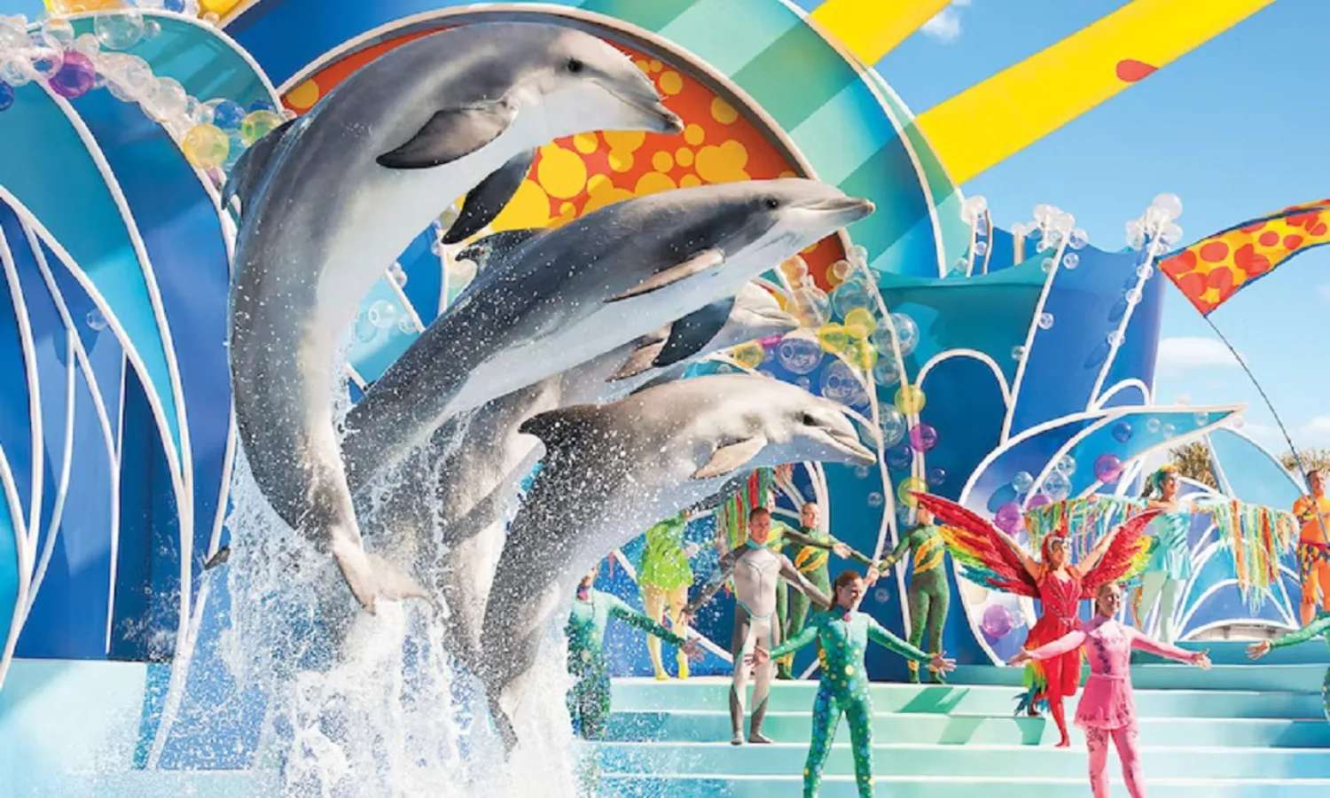 màn trình diễn cá heo công viên SeaWorld