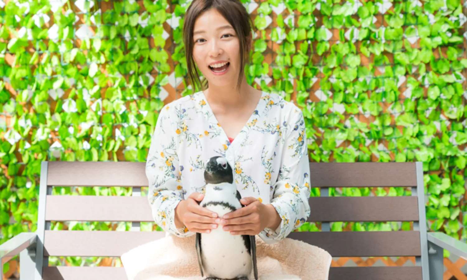 chụp ảnh tại công viên hoa và chim Kakegawa
