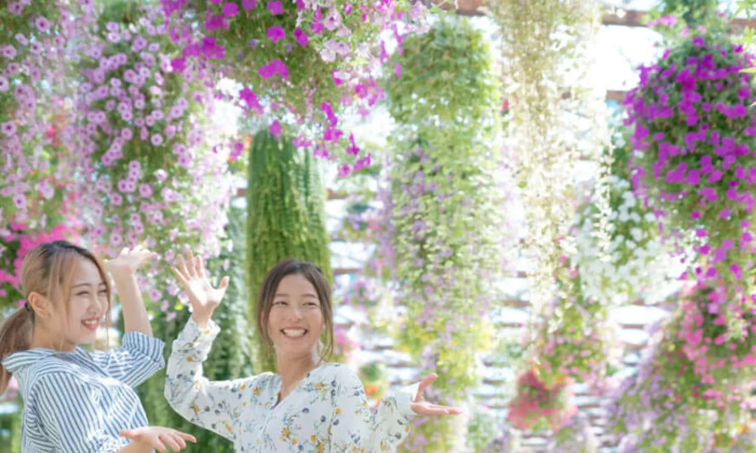vườn hoa tại công viên hoa và chim Kakegawa